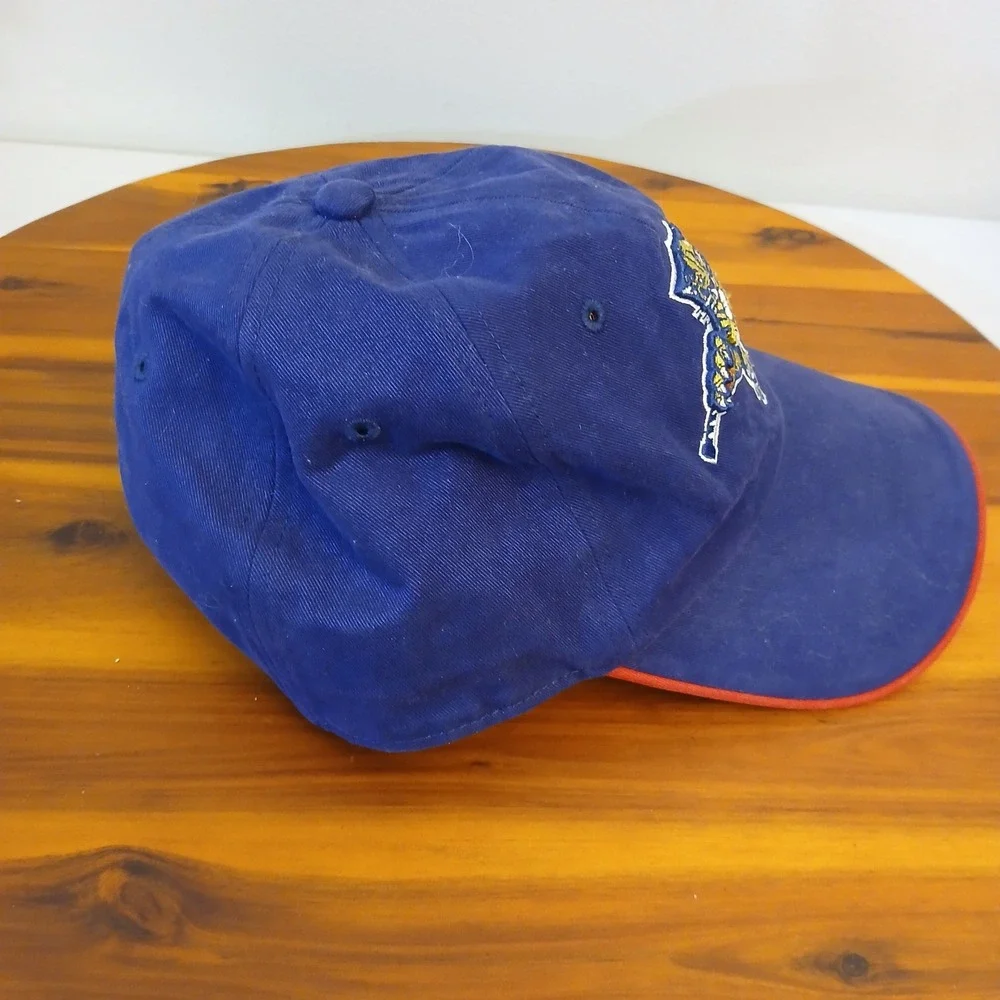 Vintage Florida Panthers Hat‎ Cap Blue Strapback Mens Nike Team Y2K Dad NHL